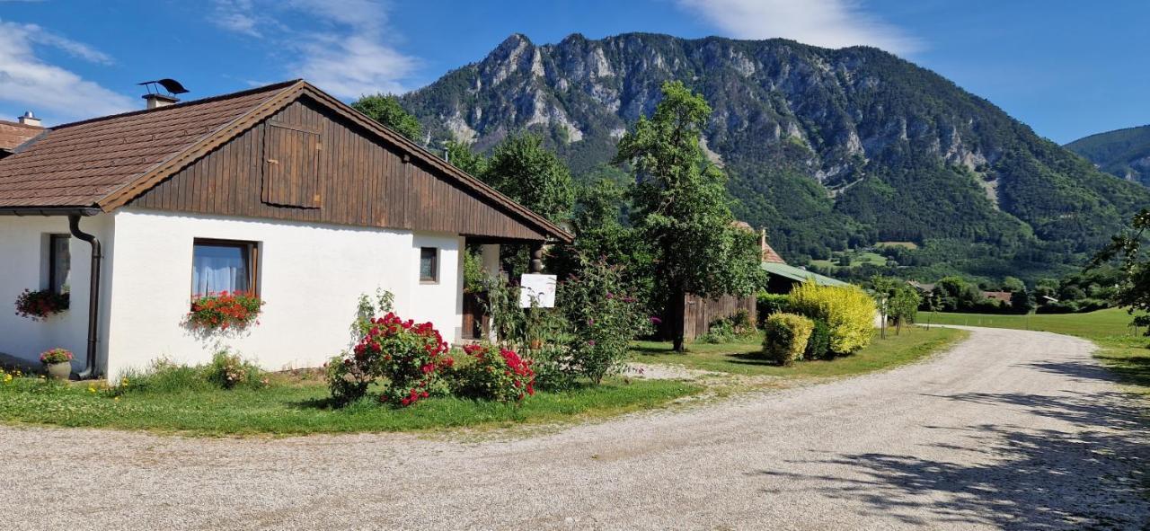 Apartamento Leo-Hof Hirschwang Exterior foto